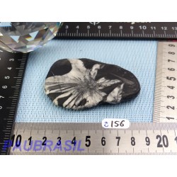 Pierre Chrysanthème Chrysanthemum stone 75gr