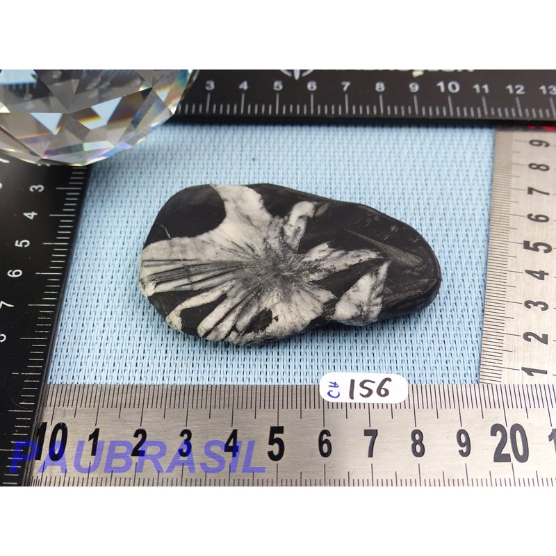 Pierre Chrysanthème Chrysanthemum stone 75gr