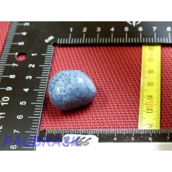 Corail Bleu en Pierre Roulée 21g