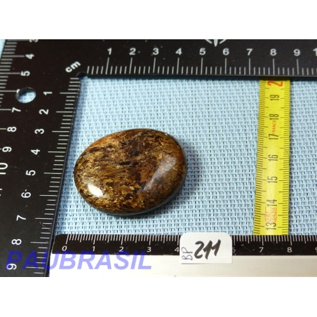 Bronzite en Pierre Plate 35g