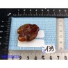 Agate de Feu en pierre semi roulée 15gr