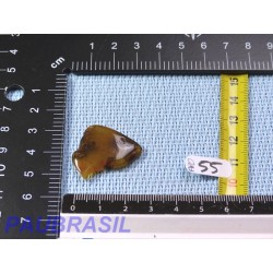 Ambre Pologne semi polie 2gr