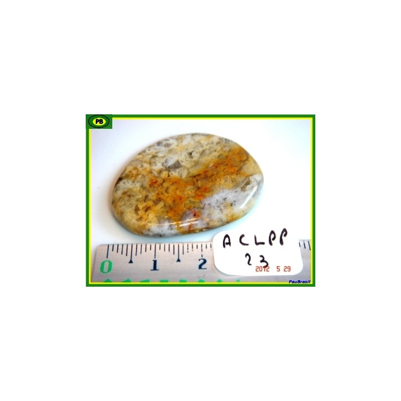 Agate Crazy Lace en pierre plate fine de 10gr Q Extra