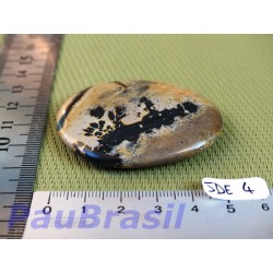 Porcelanite pierre plate 30g