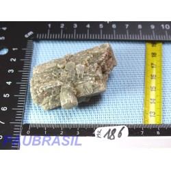 Aragonite Espagne en Pierre Brute 74g