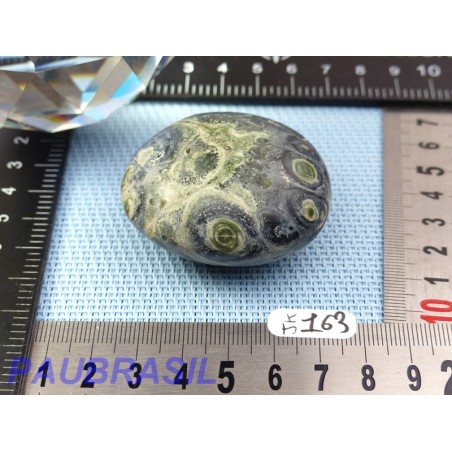 Jaspe Kambaba ou Crocodile galet poli 89g