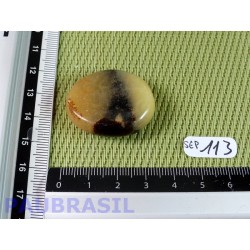 Septaria en tranche polie 15g