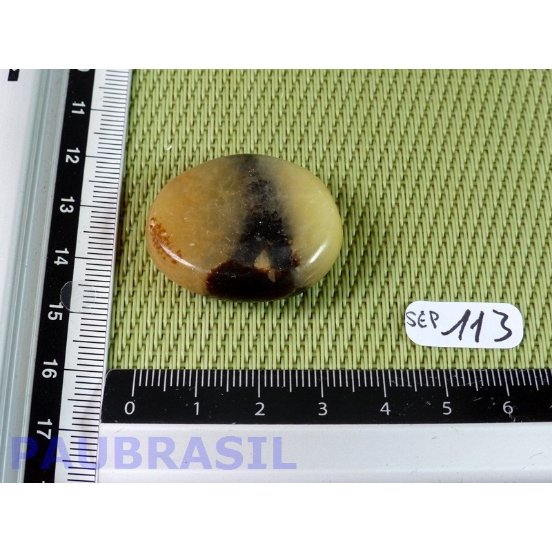 Septaria en tranche polie 15g