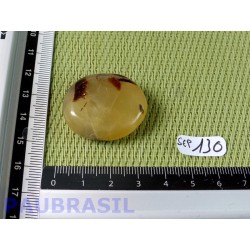 Septaria en tranche polie 18g