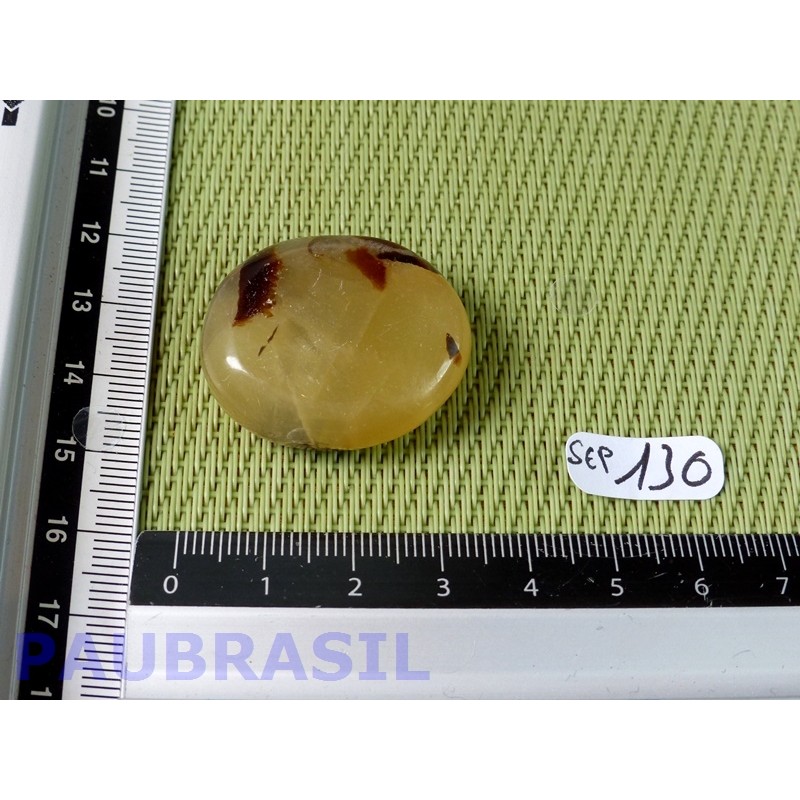 Septaria en tranche polie 18g