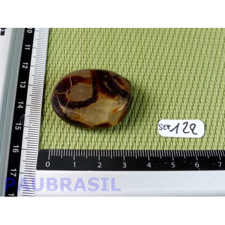 Septaria en tranche polie 21g