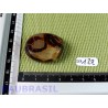 Septaria en tranche polie 21g
