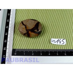 Septaria en tranche polie 13g