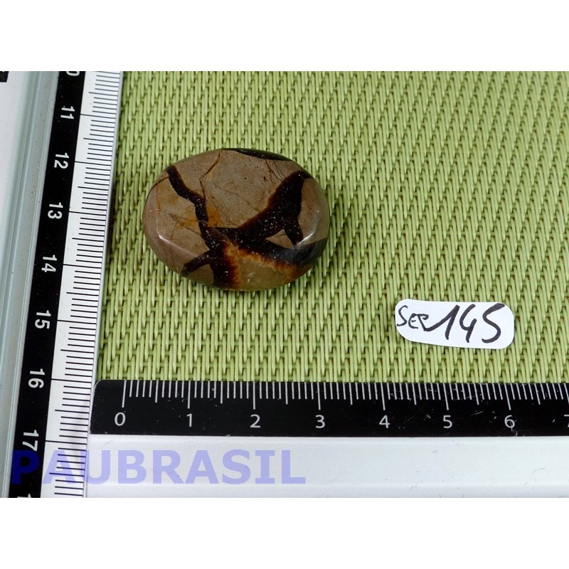 Septaria en tranche polie 13g