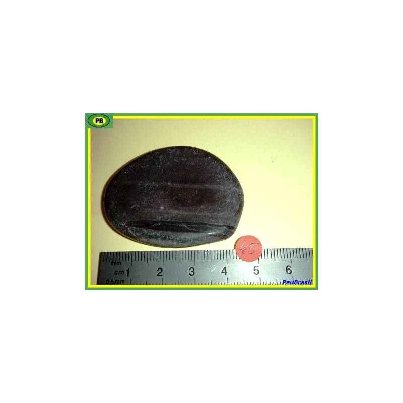 Bois fossilisé en pierre plate 20g