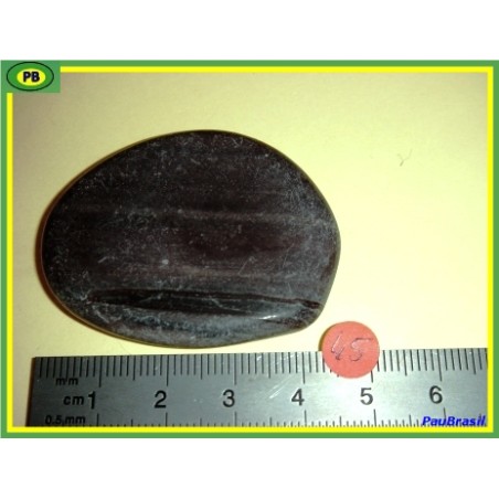 Bois fossilisé en pierre plate 20g