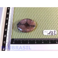 Chiastolite Andalousite mini pierre plate de 7g