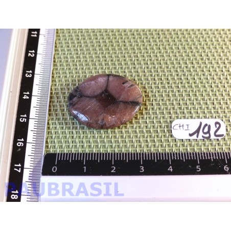 Chiastolite Andalousite mini pierre plate de 7g