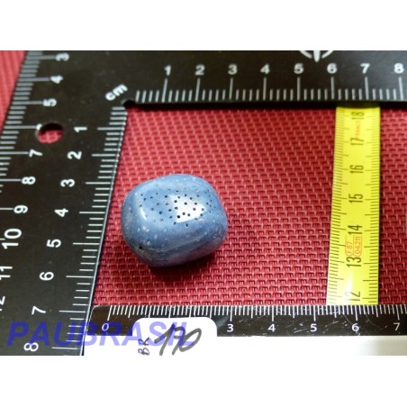 Corail Bleu en Pierre Roulée 18g