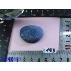 Corail Bleu en Pierre Plate Mini 14g