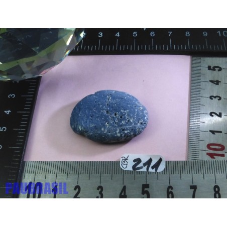 Corail Bleu en Pierre Plate 12g