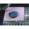 Corail Bleu en Pierre Plate 12g