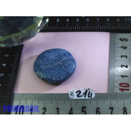 Corail Bleu en Pierre Plate 16gr50