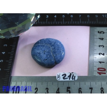 Corail Bleu en Pierre Plate 16gr50