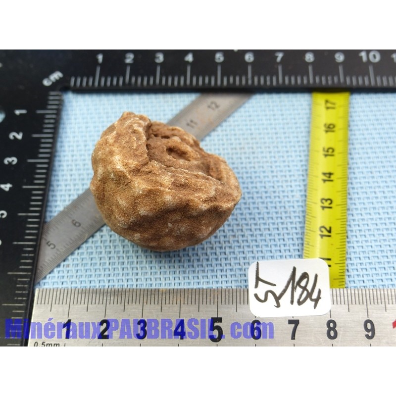 Stromatolite en pierre brute 48g Maroc