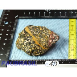 Jaspe Leopard Pierre Brute Q Extra 77gr