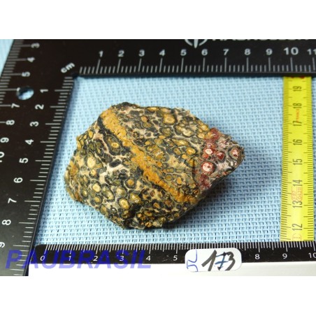 Jaspe Leopard Pierre Brute Q Extra 77gr