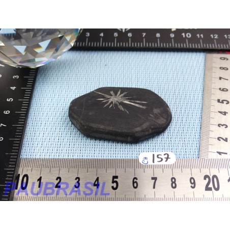 Pierre Chrysanthème Chrysanthemum stone 42gr