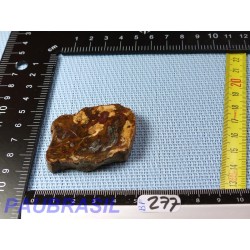Bois fossilisé en tranche polie Q Extra 31gr Madagascar