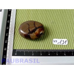 Septaria en tranche polie 20g