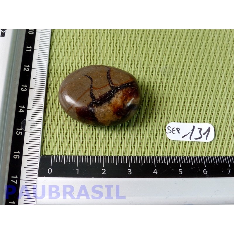 Septaria en tranche polie 20g