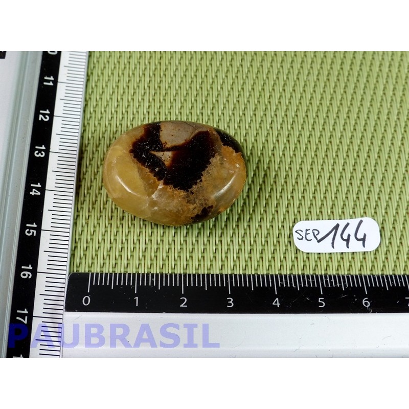 Septaria en tranche polie 17g