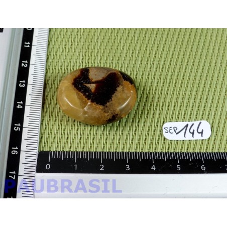 Septaria en tranche polie 17g