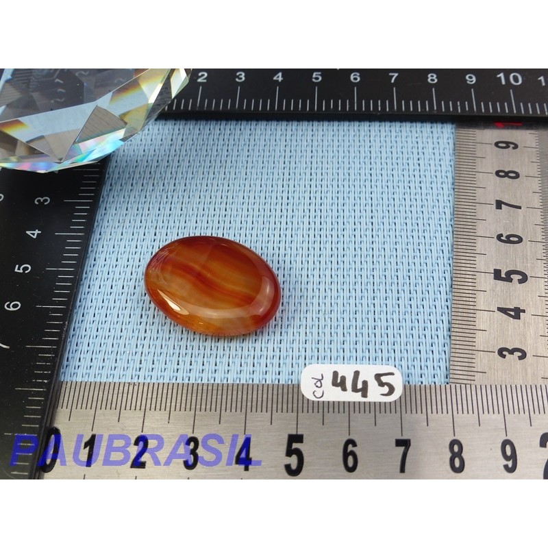 Cornaline en pierre Plate Mini 9g