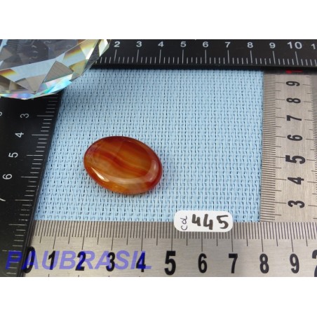 Cornaline en pierre Plate Mini 9g