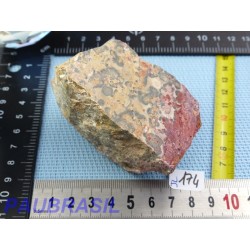 Jaspe leopard une face polie de 229g