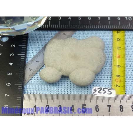 Pierre des Fées du Canada 39g