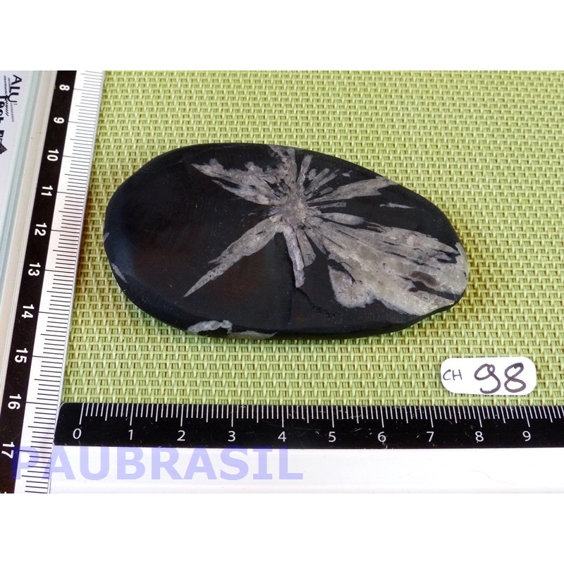 Pierre Chrysanthème Chrysanthemum stone 88gr