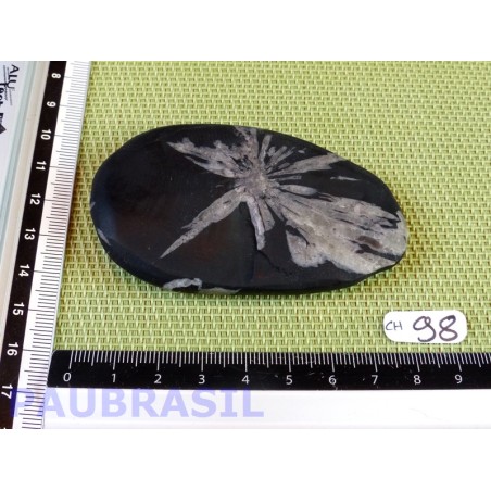 Pierre Chrysanthème Chrysanthemum stone 88gr