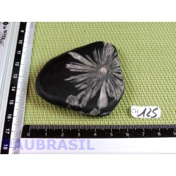 Pierre Chrysanthème Chrysanthemum stone 66gr