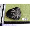 Pierre Chrysanthème Chrysanthemum stone 66gr