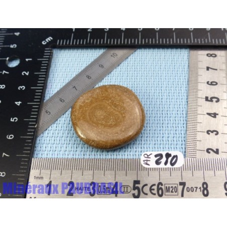Aragonite en Galet Plat 21g