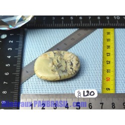 Opale à Dendrites en pierre plate Q Extra 16gr