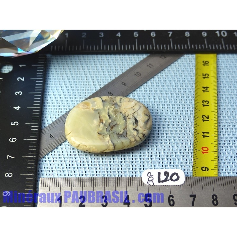 Opale à Dendrites en pierre plate Q Extra 16gr