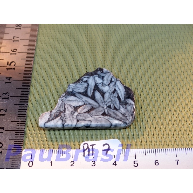 Tranche polie en Pinolite de  18gr50 Q Extra