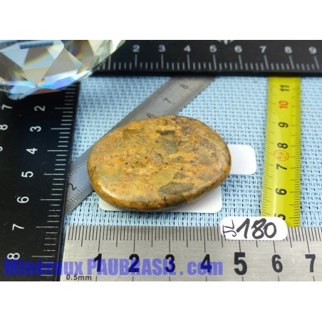 Jaspe leopard en pierre plate de 23gr